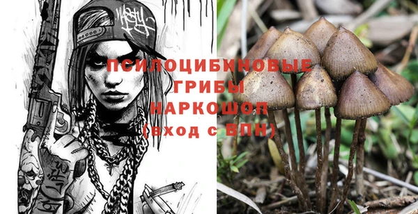 стаф Алексеевка