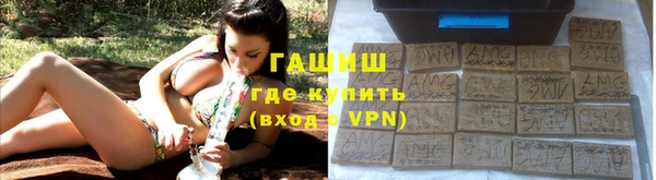 индика Алзамай