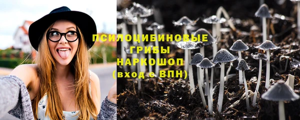 индика Алзамай