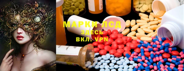 индика Алзамай