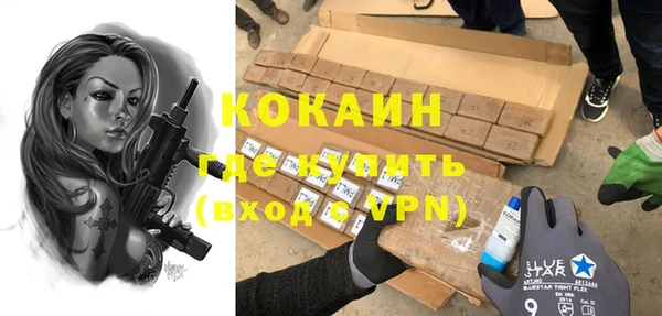 индика Алзамай