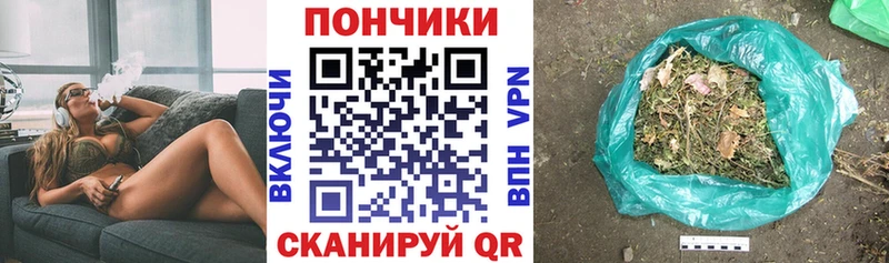 Канабис OG Kush Опочка